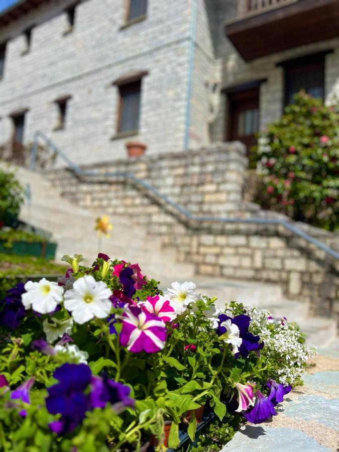 Hotel Giagia Evgenia Vitsa Exteriér fotografie